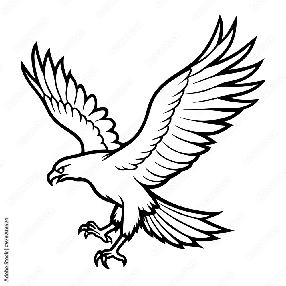 flying eagle line art illustration flying eagle line art illustration