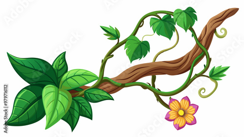 Jungle liana vine branch. Forest climbing vector. Isolated tropical creeper wood trunk with flower botanical decoration. Exotic twisted rainforest border asset collection. Foliage garden element