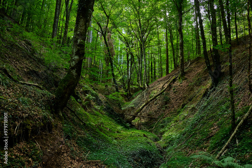 Tra i sentieri del Parco Nazionale della Sila Piccola, Calabria, Italia