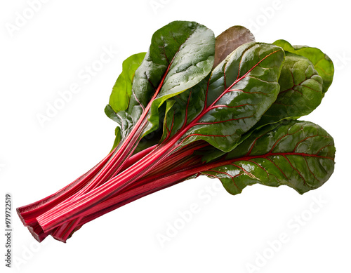 Close-up of a bunch of fresh red chard leaves. Transparent background.