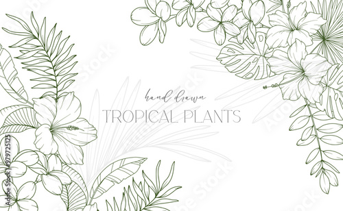Floral Frame. Line Art Tropical Plants. Floral Line Art. Flower Coloring Page. Fine Line Tropical Greenery illustration. Hand Drawn flowers. Tropical Wedding invitation flowers