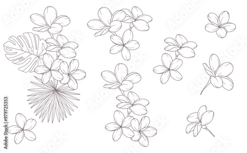 Plumeria Outline. Line Art Tropical Plants. Floral Line Art. Flower Coloring Page. Fine Line Tropical Greenery illustration. Hand Drawn flowers. Tropical Wedding invitation flowers