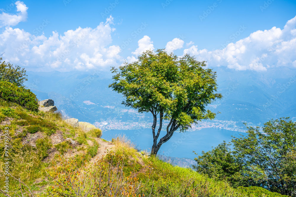 Fototapeta premium A breathtaking vista reveals Lake Como surrounded by lush hills, dotted with trees and framed by a sky filled with fluffy clouds. The serene landscape showcases nature's beauty and tranquility.