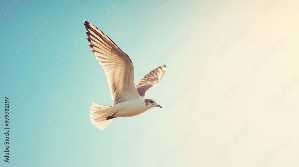 Fototapeta premium An artistic image of a bird soaring against a clear blue sky, with a focus on the intricate details of its feathers and the sense of freedom in flight.