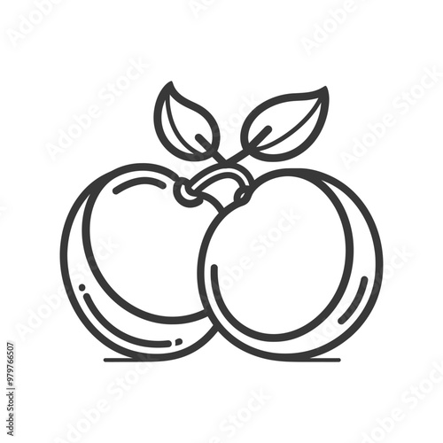 Line art illustration of two peaches with leaves