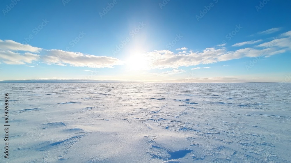 Arctic tundra, frozen landscape, icy cold expanse. Arctic tundra, frozen landscape, icy cold expanse.