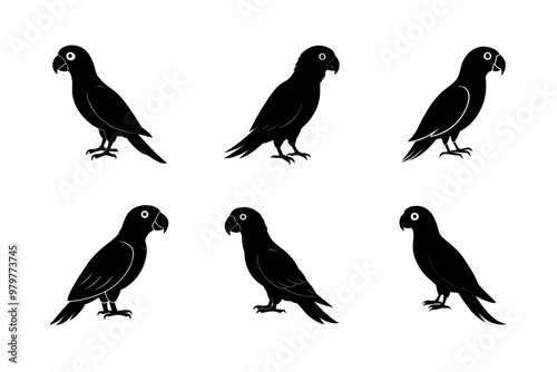 set of silhouettes of birds