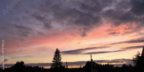 Pink and Purple Cotton Candy Skies in Shelton, WA