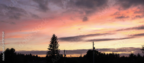 Pink and Purple Cotton Candy Skies in Shelton, WA