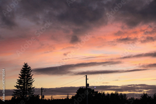 Pink and Purple Cotton Candy Skies in Shelton, WA