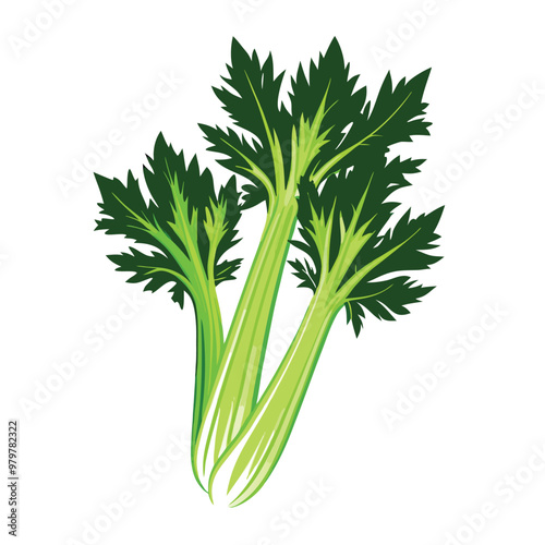 a celery vector silhouette, isolated on white background 