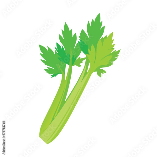 a celery vector silhouette, isolated on white background 