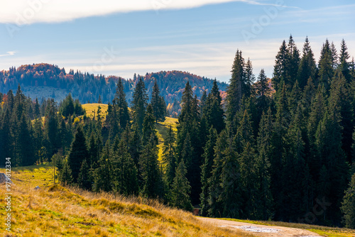 apuseni natural park in autumn. morning landscape of varasoaia meadow, bihor, romania. forest on the mountain in fall color. spruce trees in the valley. stunning travel destination photo