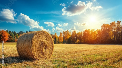 Hay bale in a golden field against a backdrop of autumnal trees and a blue sky.