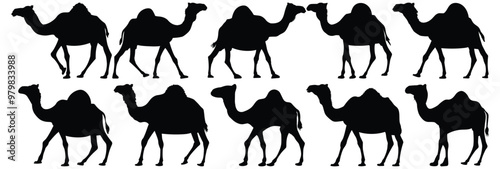 Camel silhouette set vector design big pack of animal illustration and icon