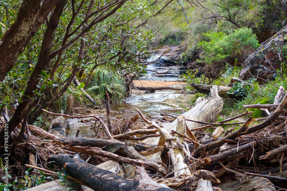 Photograph of Popes Glen Creek flowing through the Grose Valley near Blackheath in the Blue Mountains in New South Wales, Australia.