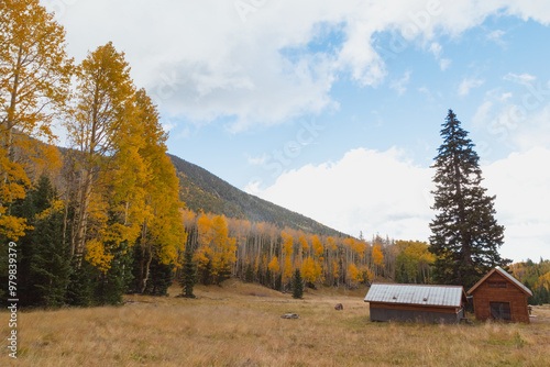 Photography Scenic autumn landscape with wooden cabin in the mountains in Flagstaff, Arizona