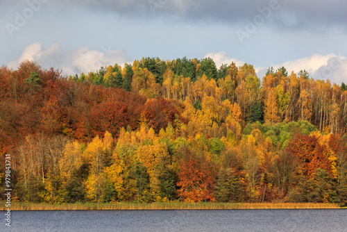 Sunny Autumn Landscape with Colorful Trees and Lake, Kashubia Region, Poland