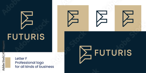 Abstract Letter F Logo with Forward-Pointing Triangle.