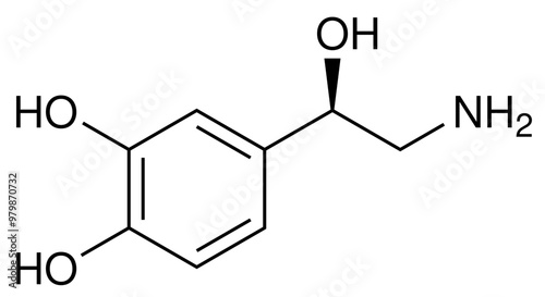 Noradrenalin Neurotransmitter Chemie Strukturformel Vektor