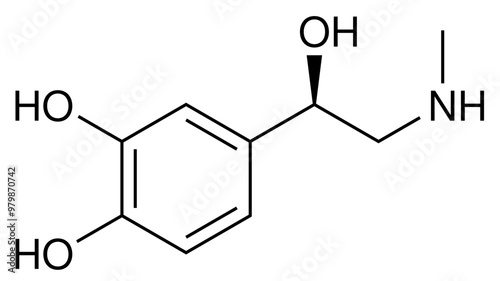 Adrenalin Neurotransmitter Chemie Strukturformel Vektor