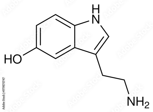 Serotonin Chemie Strukturformel Vektor