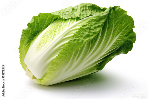 Fresh green romaine lettuce with crisp leaves displayed against a plain background in bright daylight. Generative AI