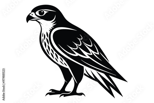 Falcon vector illustration white background J.eps