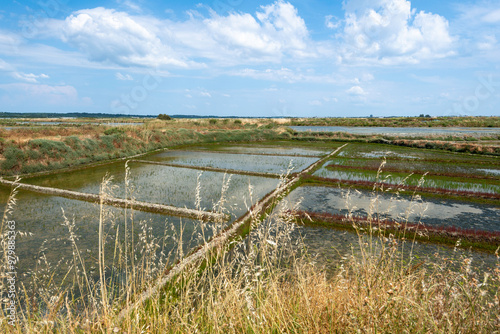 Sel, Paludier, Marais salants, Guerande, 44, Loire Atlantique, France