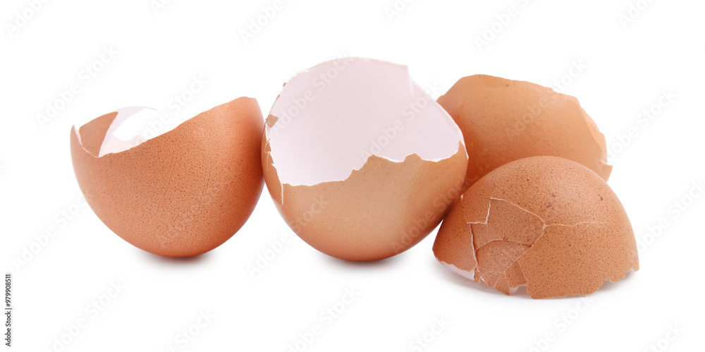Pieces of broken eggshells isolated on white Pieces of broken eggshells isolated on white