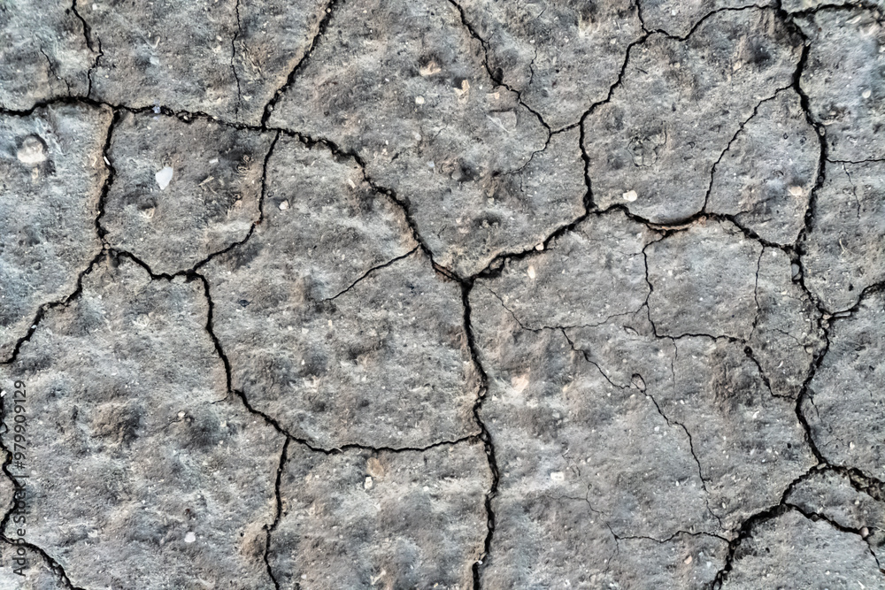 Fototapeta premium Dry Cracked Soil