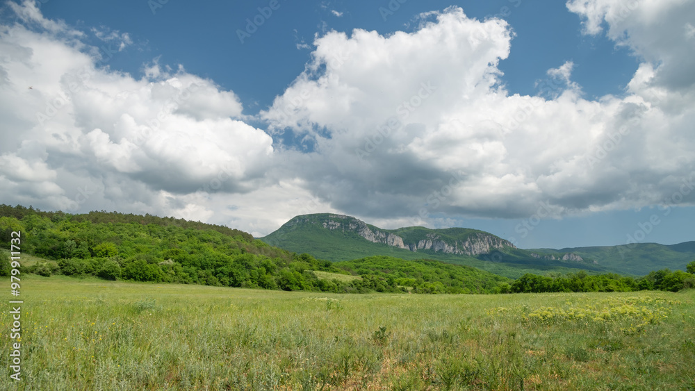 Fototapeta premium View from a summer meadow to a mountain range.