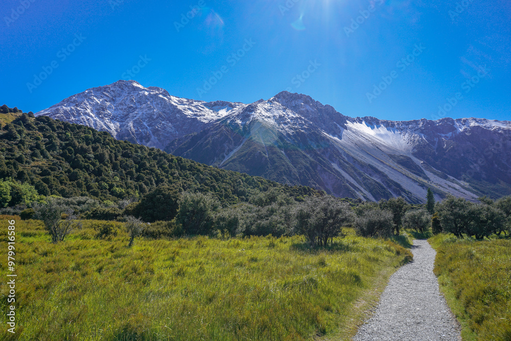Fototapeta premium Lake Pukaki Lake Tekapo Vibrant Lupin Fields, Hooker Valley Track, Southern Alps, Mt Cook Mountains – Glacial Rivers, Snow-Capped Peaks, Scenic Trails, Landscape New Zealand Canterbury Queenstown