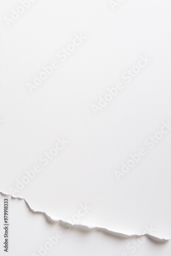 A white background with a torn piece of paper