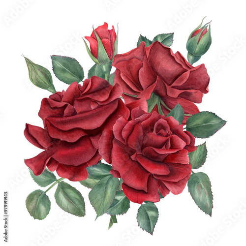 Watercolor vintage dark red rose bouquet illustration in realistic style. Romantic hand painted roses flowers and green leaves on stem. For wedding greeting cards, for memory day