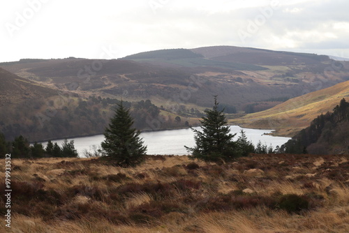 Wicklow Mountains in Ierland photo