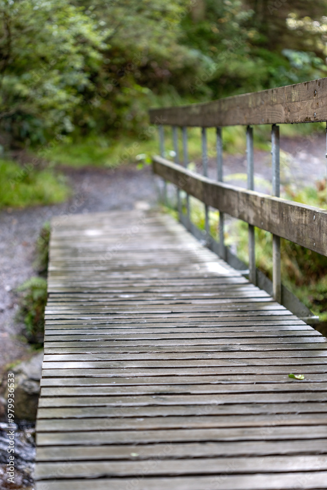 A wooden bridge crossing a tranquil stream in a lush forest. A wooden bridge crossing a tranquil stream in a lush forest.