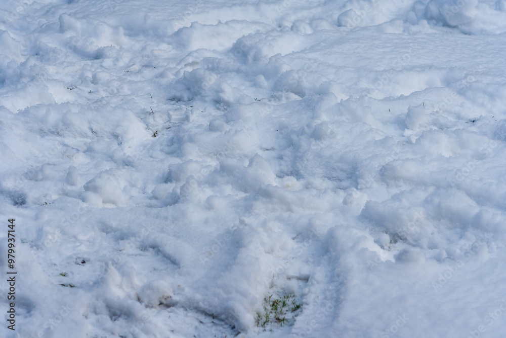 A close-up of fluffy, white snow covering the ground, featuring various textures and patterns created by footprints and movement A close-up of fluffy, white snow covering the ground, featuring various textures and patterns created by footprints and movement