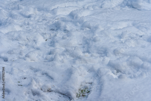 A close-up of fluffy, white snow covering the ground, featuring various textures and patterns created by footprints and movement