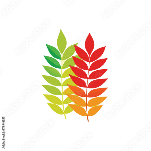 Three overlapping fern-like leaves in a vector style, arranged on a white background 