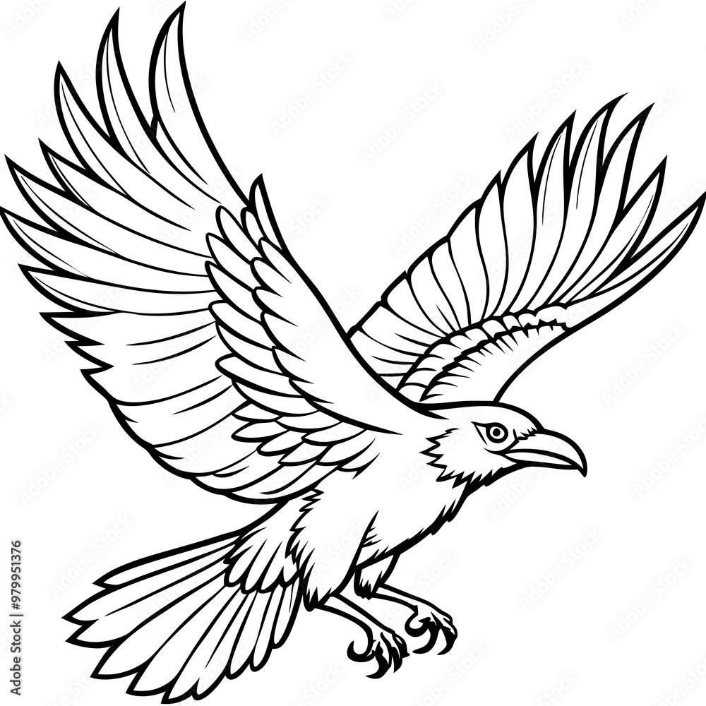 Obraz premium Dynamic Raven in Flight Outlined Vector Design