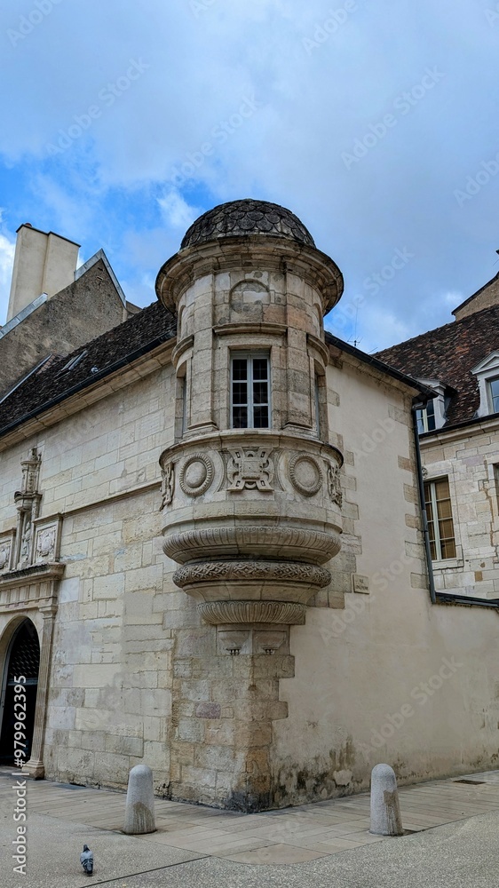 Fototapeta premium DIJON (Côte-d'Or)