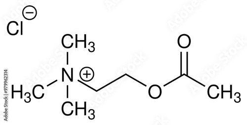 Acetlycholin ACh Chemie Strukturformel Vektor