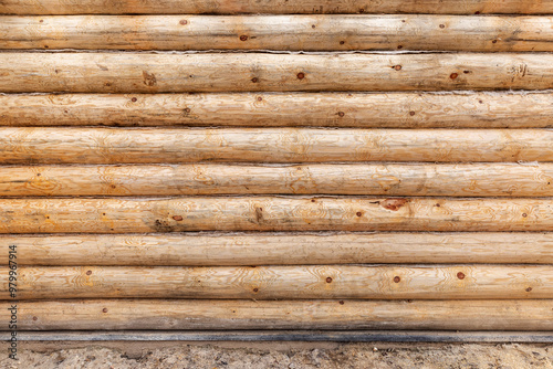 New wooden wall made of uncolored natural pine tree logs, texture