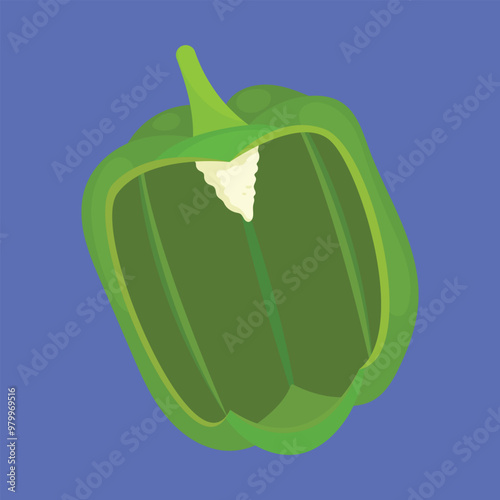 Half Cut Green Capsicum Vegetable icon vector. Half Green Bell Pepper Vector. half capsicum icon