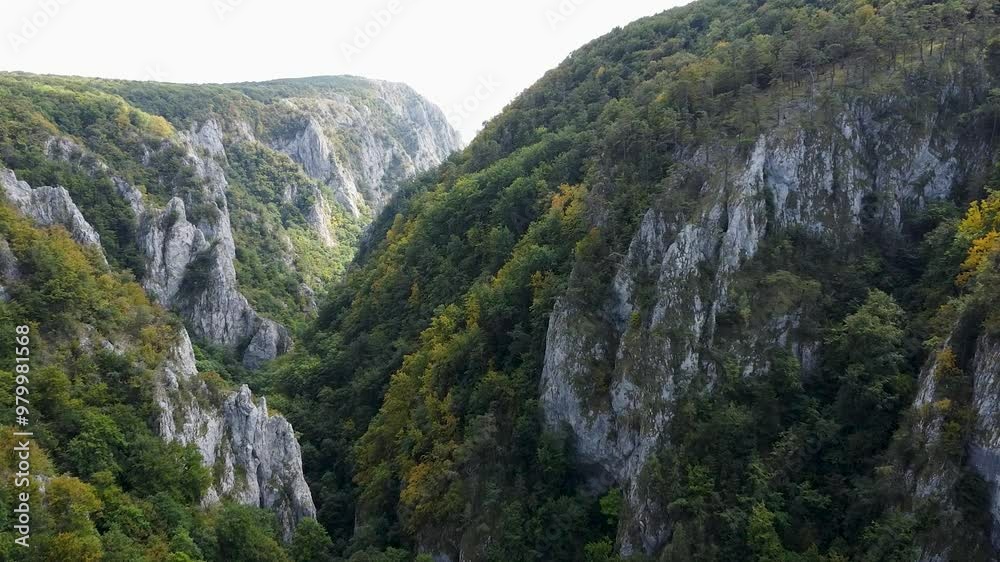Aerial drone view showcasing the majestic cliffs and lush green forests of Zádiel Gorge in Slovakia Aerial drone view showcasing the majestic cliffs and lush green forests of Zádiel Gorge in Slovakia
