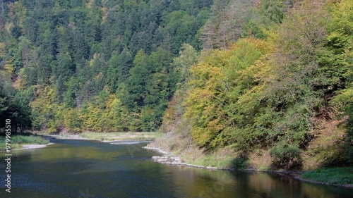 Dunajec mountain river in Pieniny national park in Poland, autumn color trees on the slope of the river valley