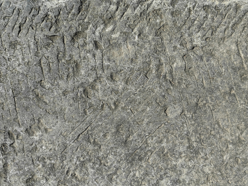 Stone pavement texture. Granite cobble stoned pavement. Stone pavement texture. Granite cobble stoned pavement.