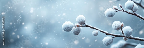 A branch covered in snow with a few leaves still visible