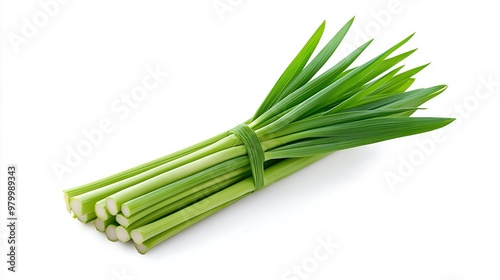   A close-up of several celery stalks on a white background, with a clipped portion visible